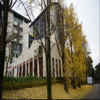 軟瓷行業(yè)蓬勃發(fā)展，更加廣闊的布局